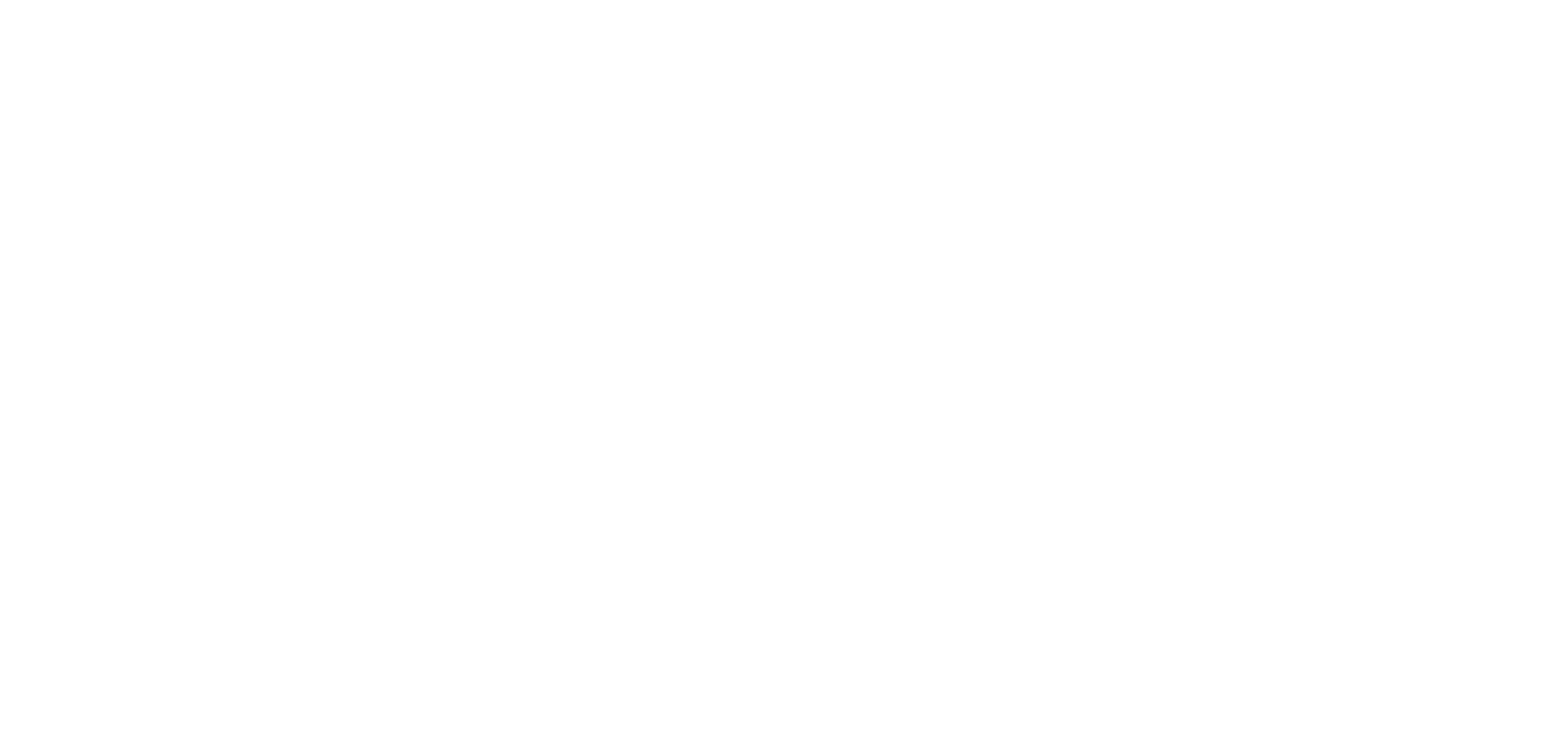 KAMPAGNE 2.1