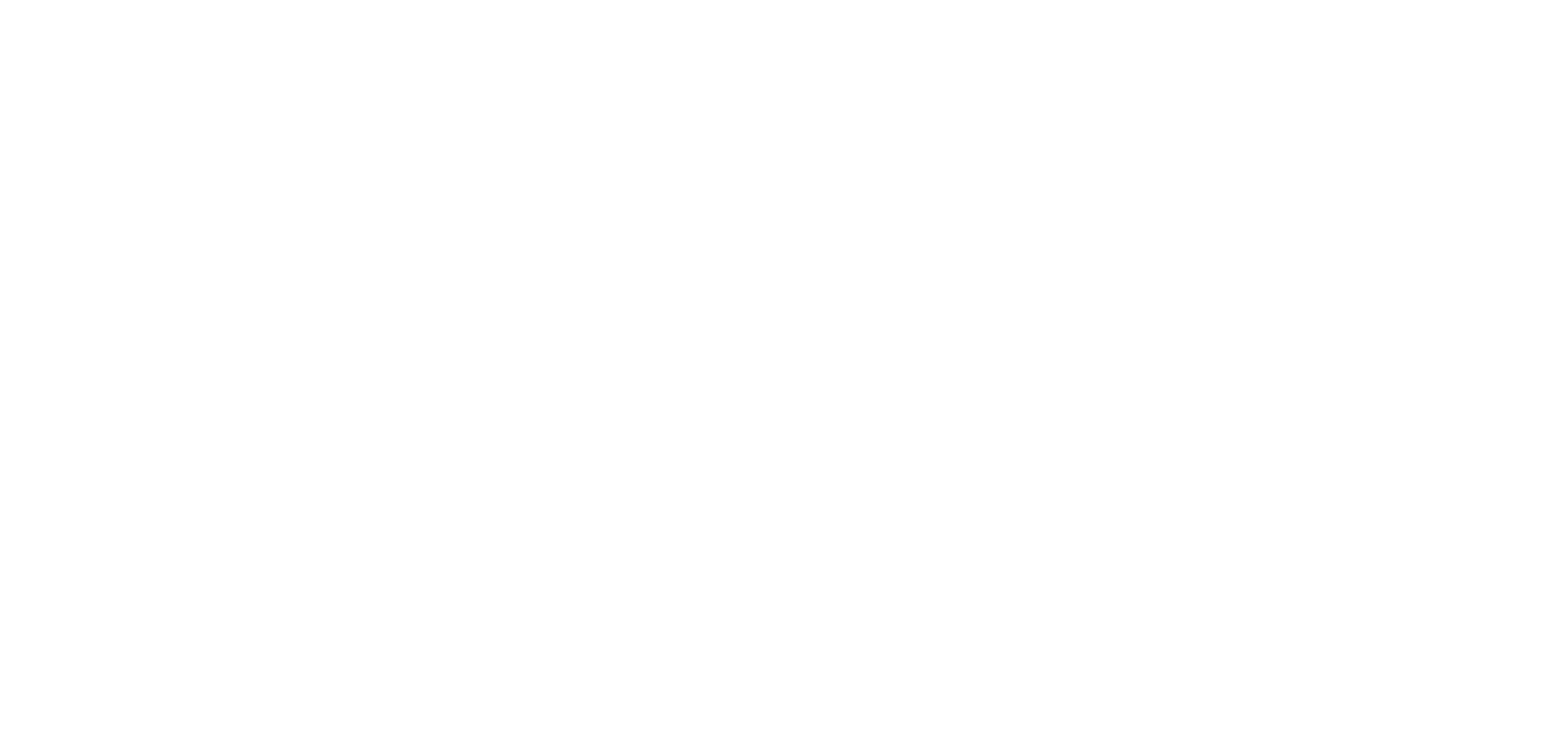 KAMPAGNE 4.1