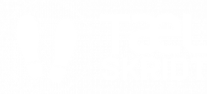 logo Tæl Skridt