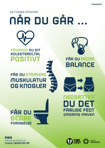 TS 2024 A4 fysiske effekter